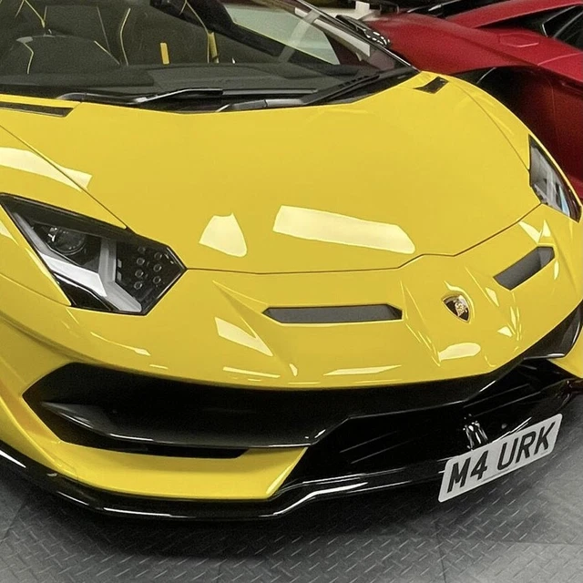 LAMBORGHINI AVENTADOR SVJ front number plate clamp £590.00 - PicClick UK