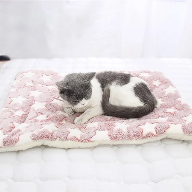 Pet Dog Bed Mat Self Warming Soft Flannel Pad Blanket Cat Bed Cushion Washable 3