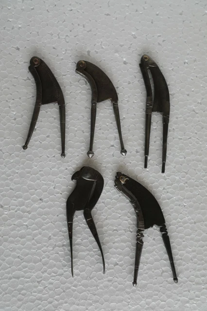 5 Pc Vintage Iron Handcrafted Small Fine Betel Nut Cutters / Sarota