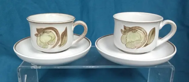Denby Troubadour 2 x  Tea Cups and Saucers
