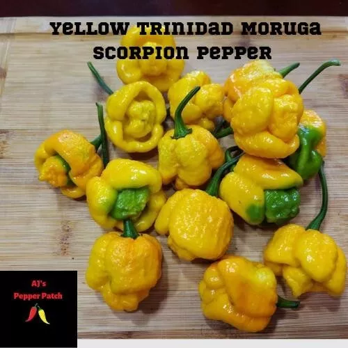 15 Yellow Trinidad Moruga Scorpion Pepper Seeds