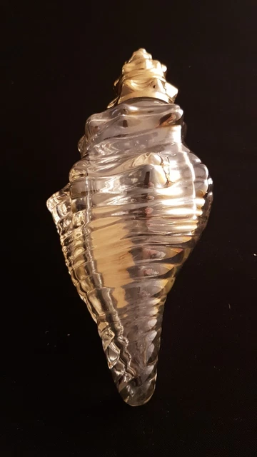 Bijou Ancien Années 70 - Couronne Ou Diadème En Coquillage (cauri) - Argenté - Pièce De Collection Vintage