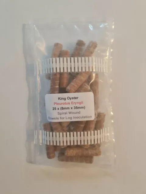 King Oyster Mushroom - log / stumps - 25 wooden plugs spiral dowels for tree