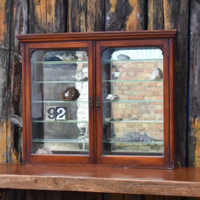 Antique Mahogany Mirrored Apothecary Chemists Shop Display Wall Bathroom Cabinet