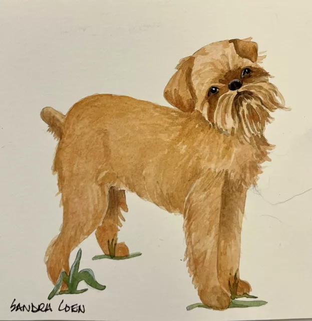 Brussels Griffon Original Watercolor by Sandra Coen Standing Dog