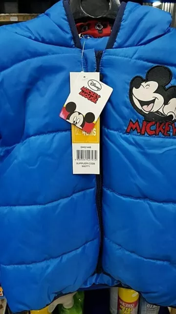 Giubbotto  Autunno - Inverno Per Bambino Disney  Taglie Varie