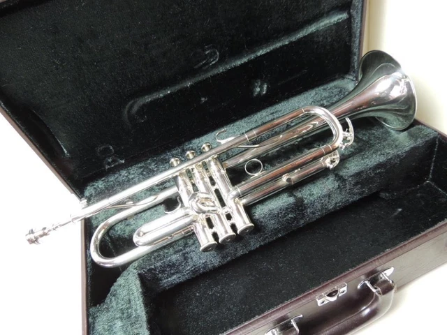 YAMAHA YTR 737 TROMBA Usato con Custodia Rigida da Giappone EUR