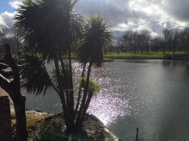 5*Luxury Carp Fishing Holiday in Norfolk with Private Undercover Hot Tub