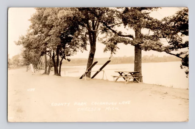 Postcard RPPC Michigan Chelsea MI Cavanaugh Lake County Park 1920s Unposted