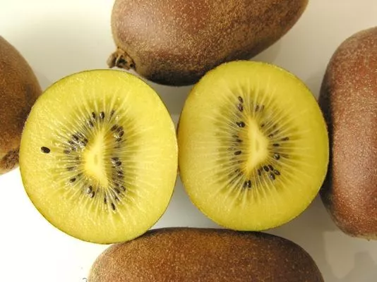 25 Semi  Di Kiwi Varieta' Giallo "Actinidia Chinensis " +Omaggio