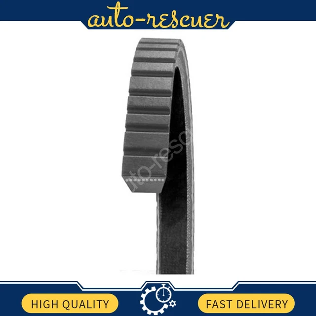 Dayco Accessory Drive Belt Dayco 1x fit from 1972 to 1973 Triumph TR6