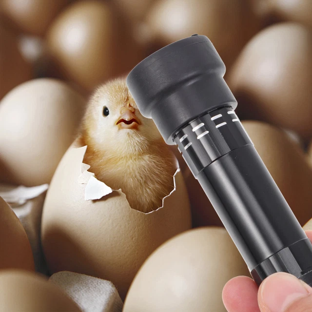 1pc Led Egg Candler Egg Candler Lampe Mirage des oeufs Machine 6