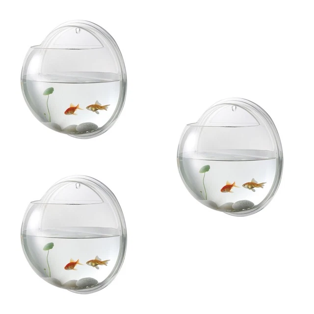 Vaso Appeso Per Pesci Betta - Vetro Trasparente Con Supporto, Decorazione Scrivania