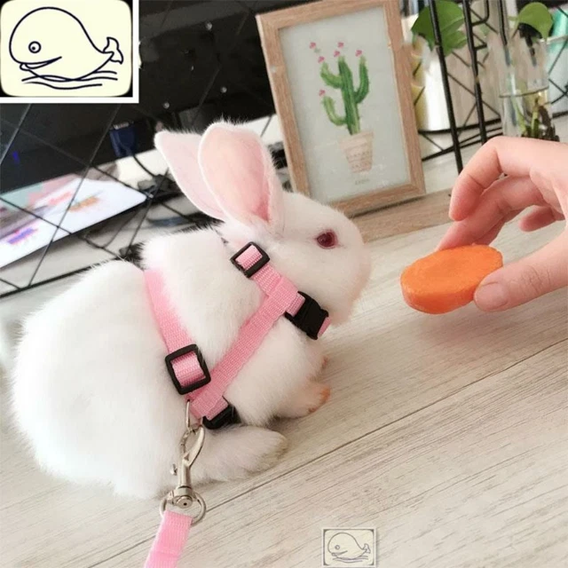Nylon Pet Harness Leash Triangular Pet Vest Strap  Pet Outdoor Walking