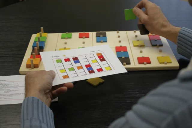TOP! Puzzle Sudoku Nach-Denk-Spiel  mit 6 Farben aus farbigen Holz Brettspiel