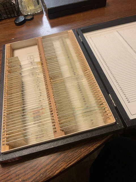 Group Of 76 Vintage Microscope Slides Specimens Science Biology Tilia