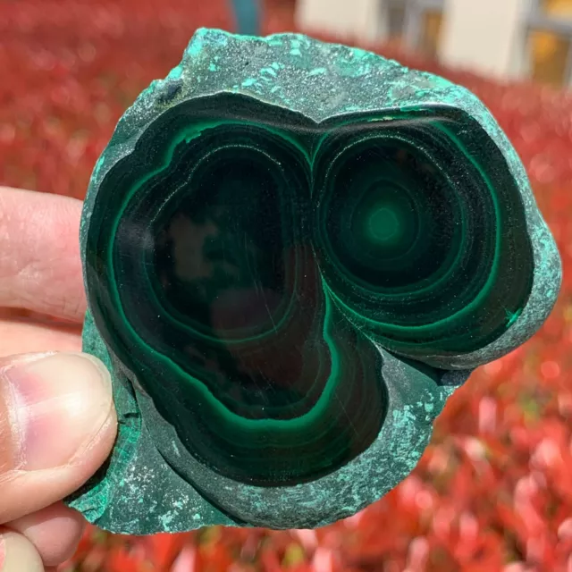 183G Natural malachite slice quartz crystal luster mineral specimen