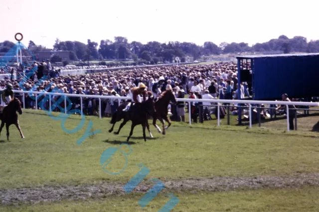 York Races 1982 Racing Action shot  Original 35 mm Slide