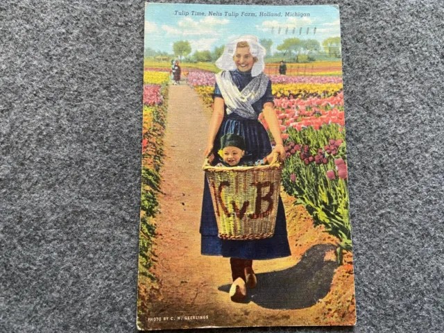Tulip Time, Nelis Tulip Farm, Holland Michigan Vintage 1953 Postcard