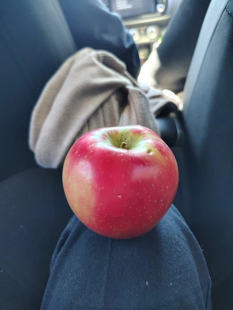 シャツ Supreme Bandana Football Jersey \"white\" Slightly Unusual, Weird Stuff, Everything Else - PicClick