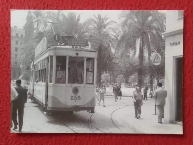 Tarjeta Tipo Postal Imagen Antigua De Tranvías Sevilla Calle Tetuan Ayuntamiento