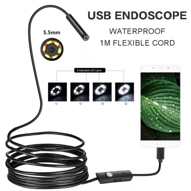 Acheter Endoscope de pipeline portable avec écran, objectif 8 mm, caméra  haute définition, machine intégrée, détecteur d'endoscope industriel  (longueur de câble: 2M/5M/10M)