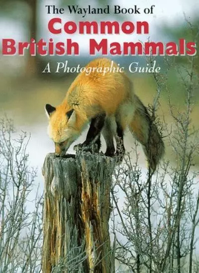 Common British Mammals: A Photographic Guide (Wayland Book of),Shirley Thompson