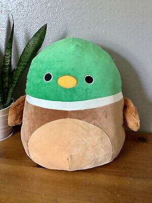 squishmallow mallard duck