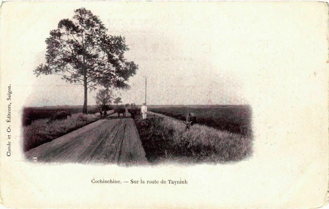CPA AK Cochinchine Sur la route de Tayninh VIETNAM-INDOCHINA (841190)