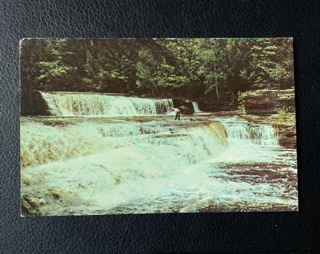 Lower Tahquamenon Falls Upper Peninsula Mich Postcard c1950 Michigan MI LL Cook