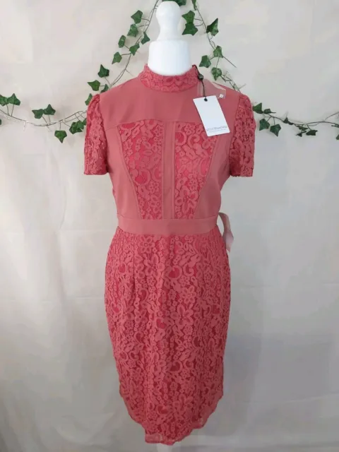 Little Mistress Teracotta Midi Dress Lace Overlay Size 12 New With Tags Occasion