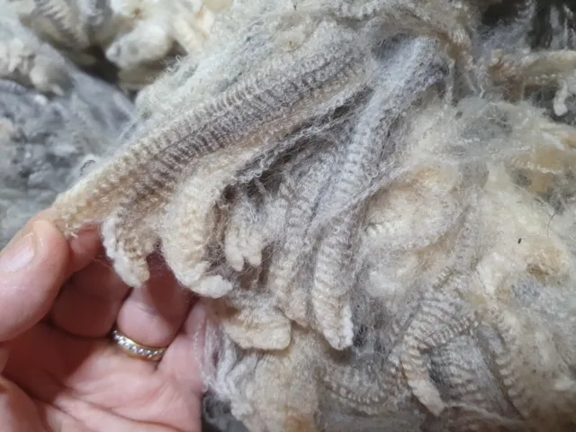 500gr Coloured Fine Merino 19.8 Micron Wool Fleece Spinning Felt Crafts