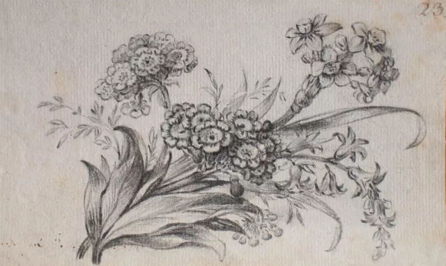 Blumenstillleben Pflanzenstudie Miniatur unbekannt Original Bleistift um 1800