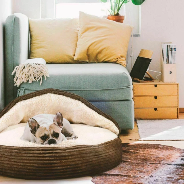 Pet Cave Snuggly Cozy Orthopedic Round Soft Bed for Small Dog or Cat