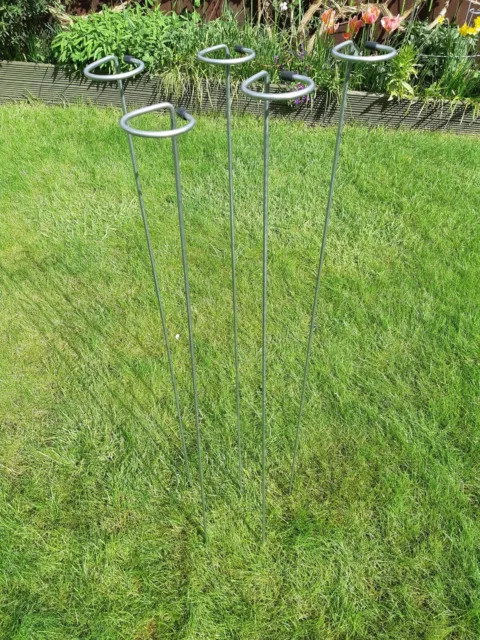 Galvanised plant loop stakes/ supports 80, 100, 130cm tall.  Non Rusting