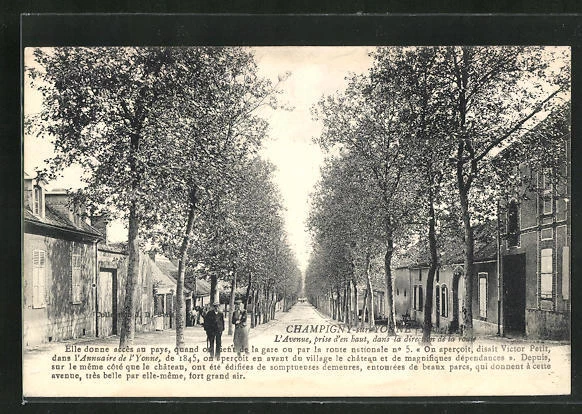 CPA Champigny-sur-Yonne, L'Avenue taken from a top, in the direction of the road
