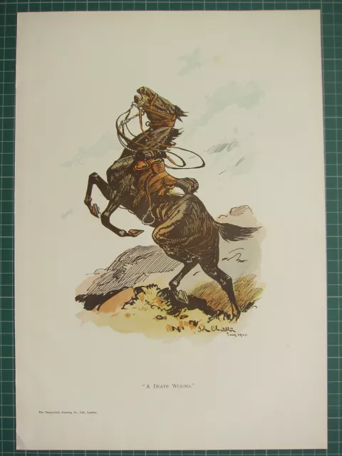 1900 Boer War Era Military Print ~ "A Death Wound" Wounded Horse ~ John Charlton