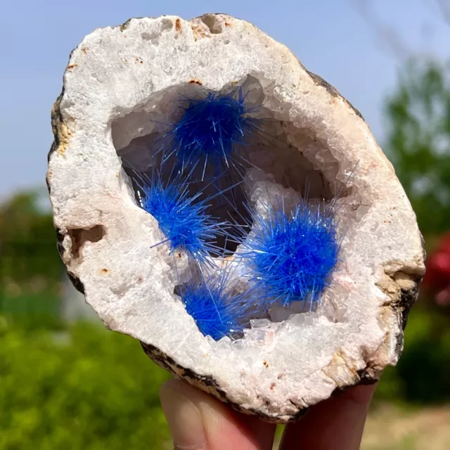 287G Rare Moroccan blue magnesite and quartz crystal coexisting specimen