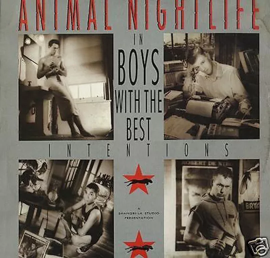 ANIMAL NIGHTLIFE - Boys With Best Intentions - 1987 - UK -tent 185