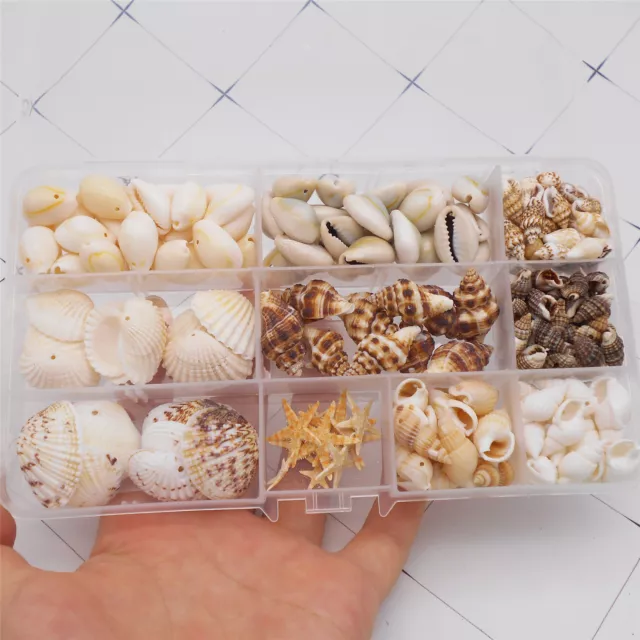 1 Box Small Conch Shells Beads Mix Starfish Seashells For Crafts Art Decor 1-3cm