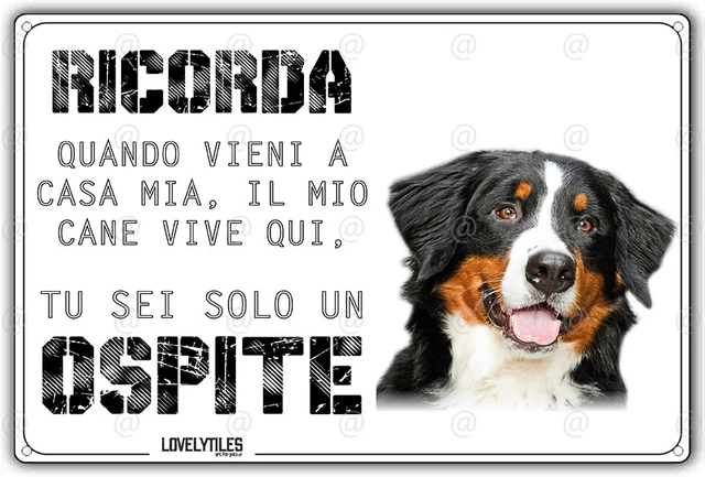 Cartello 'Attenti Al Cane' Per Bovaro Del Bernese - Targa In Metallo 15x20 Cm - Foto 3