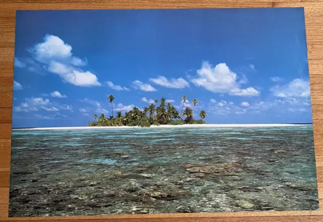 Coral Island 1985 Wizard & Genius # 2805 Colorful Original Poster 38.5" X 26.5"