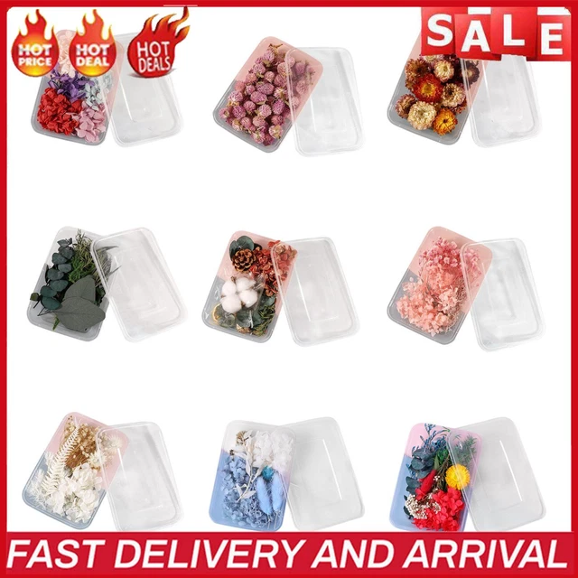 Material floral seco - Juego de flores y hojas secas prensadas reales para hacer arte en uñas