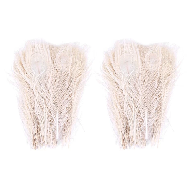 100 piezas/plumas blancas naturales en el ojo, 10 a 12 pulgadas de pluma WeA6G7