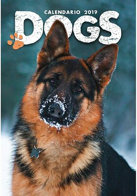 Byblos Cagnolini Puppies Calendario Da Parete 2020 BYBLOS 