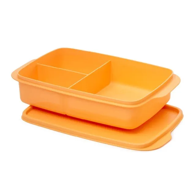 https://www.picclickimg.com/7OsAAOSwV5Blk8EE/Tupperware-Large-Divided-Lunch-Box-Sandwich-Keeper-Mango.webp