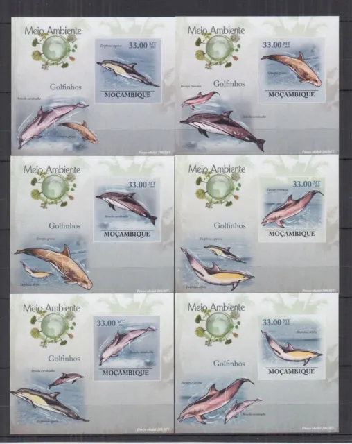 ST402Id. Mozambique - MNH - Dolphins - 2010 - Deluxe - imperf