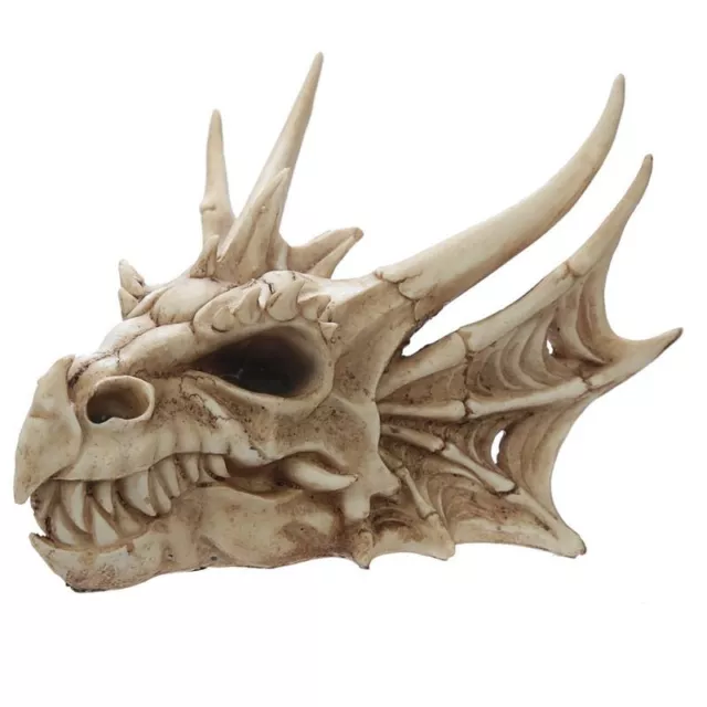 Drachenschädel Drachen Gothic Dragonskull Drache Dragon Skulptur Fantasy DRG431