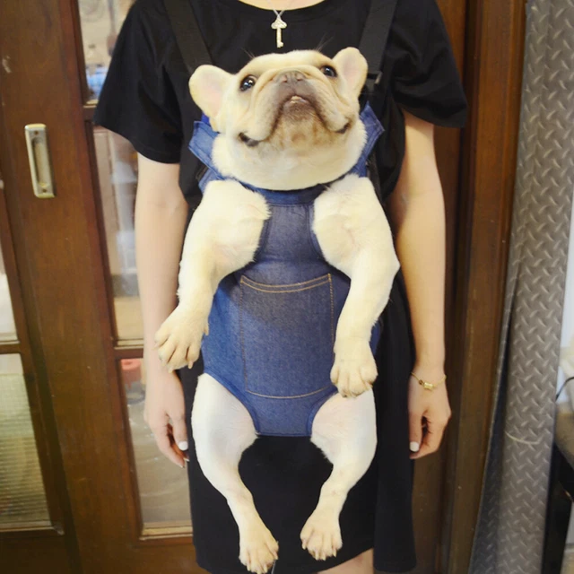 Cane da compagnia tasca leggero portatile traspirante confortevole