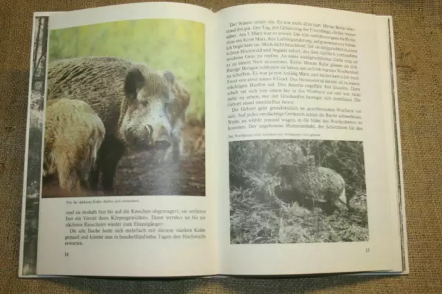 Fachbuch Wildschweine Frischling Eber Sauen Jäger Weidmann DDR 1986 2